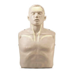 CPR